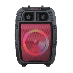 Speaker Audio Z95_8123